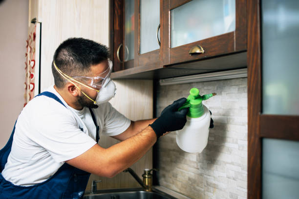 Best Commercial Pest Control Services  in Upper Exeter, PA