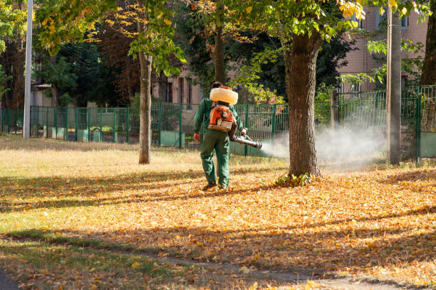 Best Mosquito Control Services  in Upper Exeter, PA
