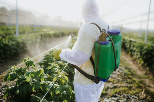 Best Best Pest Control Companies  in Upper Exeter, PA